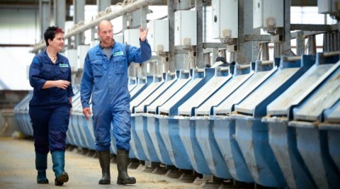 Onderzoekers op Dairy Campus bespreken duurzame oplossingen