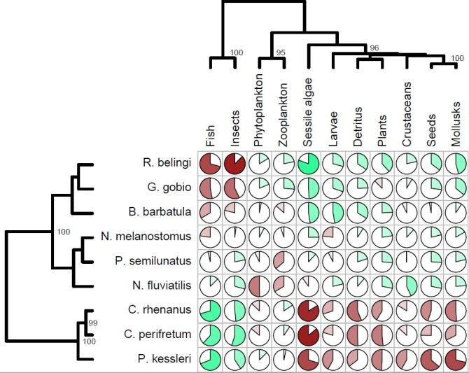 Figure description: Predictions of the feeding capacities of nine Dutch bottom-dwelling freshwater fishes.