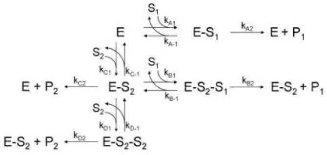 TimFig6_Kineticmodel5.jpg