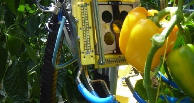 dataset Sensor technologies for food supply chains