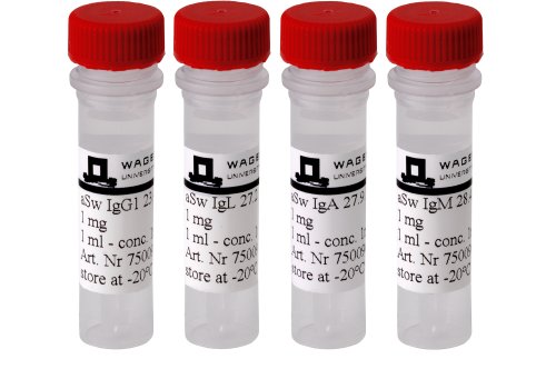 Monoclonal AB - anti Swine antibody - WUR