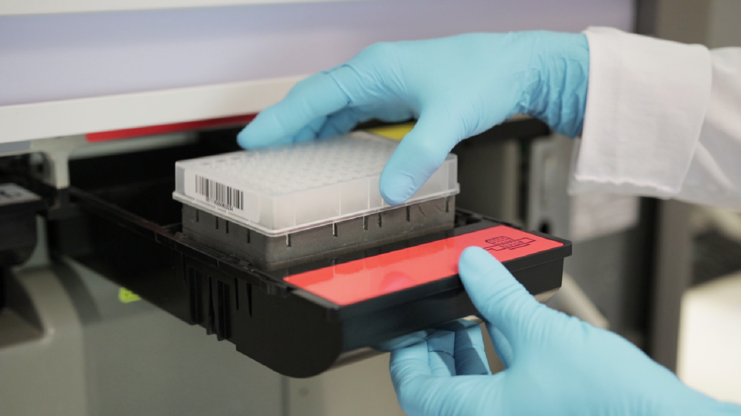 WBVR researchers in the laboratory, where they use the latest techniques to detect animal diseases.