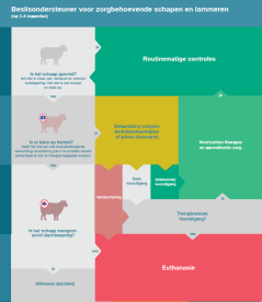 Schapen en lammeren (PDF)