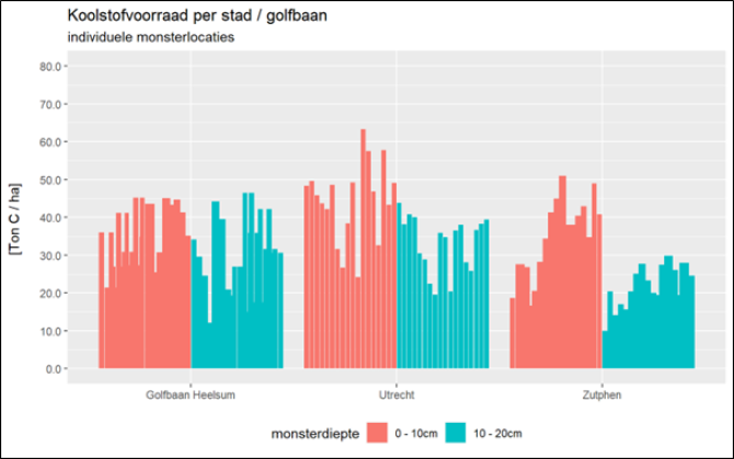 Koolstofvoorraad van de individuele monsterlocaties, uitgesplitst in laag 0-10 cm en 10-20 cm.