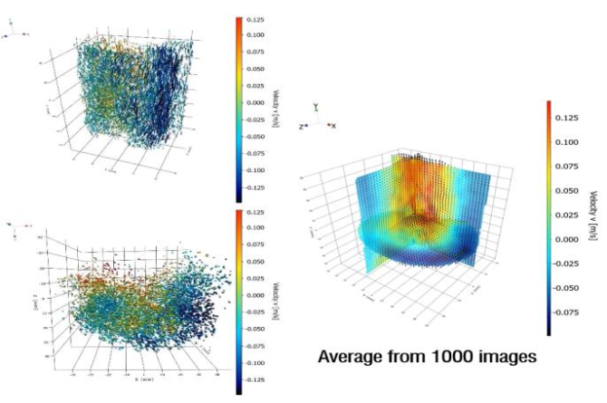 Time-resolved (left) an time-averaged (right) velocity distribution of liquid in the reactor