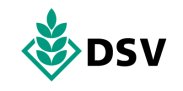 DSV logo