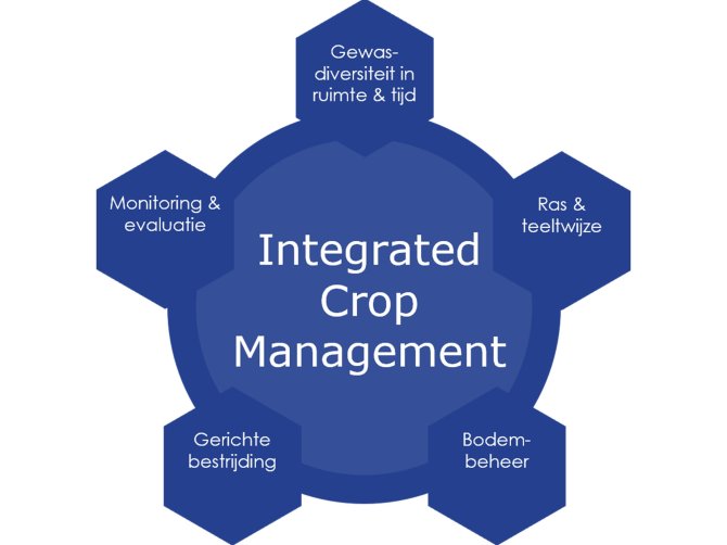 Figuur 1. De vijf pijlers van Integrated Crop Management. Aangepast van Sikora et al 2022, Riemens et al., 2022.