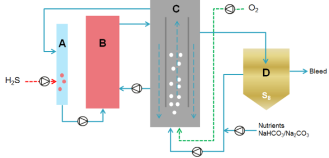 Figure 2 Example of reactor line-up in the laboratory