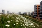 industrial area in Arnhem