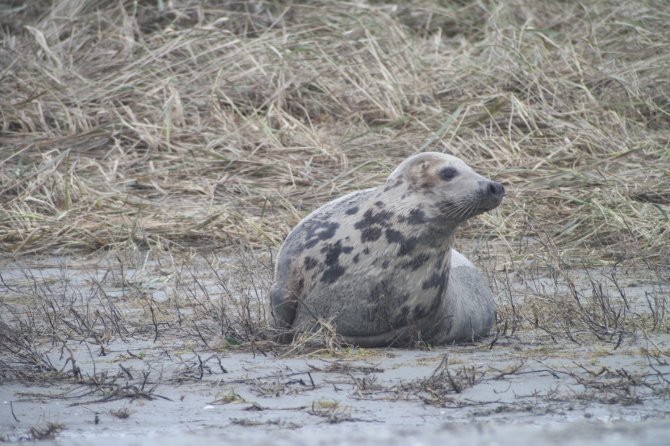 Foto: Geert Aarts