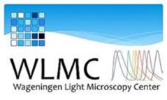 WLMC_logo.png