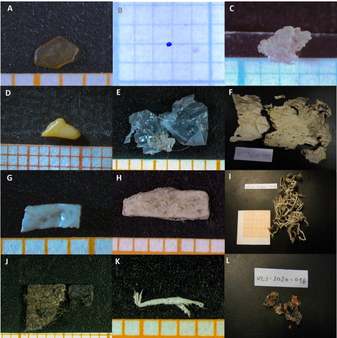 Overzicht van alle stukken zwerfvuil die in de uitwerpselen van IJslandse poolvossen teruggevonden zijn. Zwerfvuil werd gevonden in de jaren 1999 (a-d), in 2017 (e & f), in 2018 (g) en in 2020 (h-l) (Foto’s: Birte Technau).